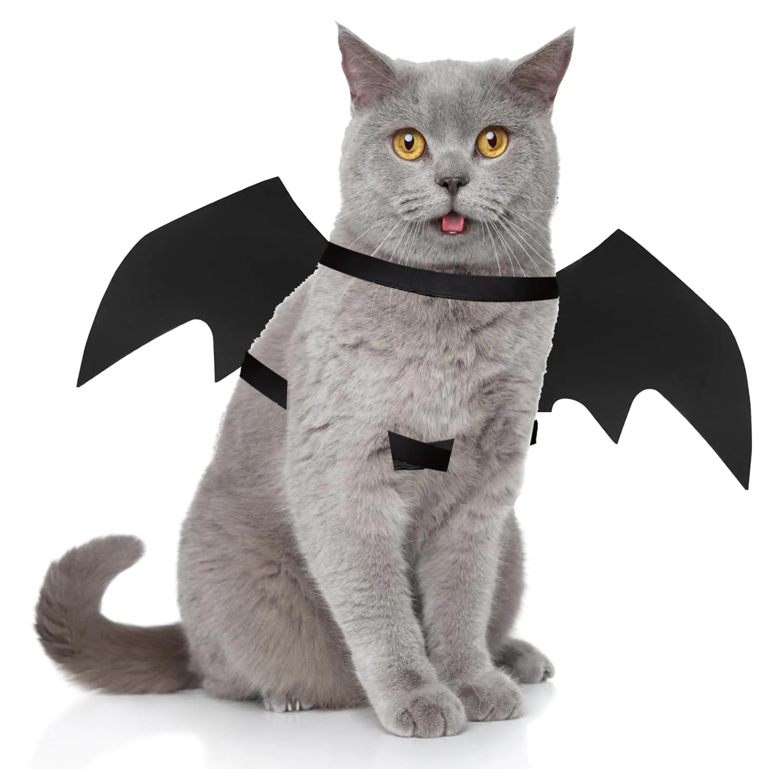 QIYADIN Pet Cat Bat Wings for Halloween Party Decoration Dog Cosplay Bat CostumePuppy and Cat Dress Up Accessories (Black Medium)